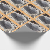 ビーチロックラッピング紙 ラッピングペーパー (角)