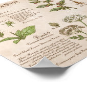 ビーチングプラントフィイルドガイドプリント ポスター (角)