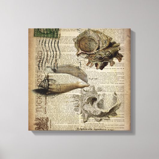 ビーチー辞書プリントモダンヴィンテージ貝殻 キャンバスプリント (正面)