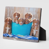ビーチ上の子犬のバケツ フォトプラーク (側面)