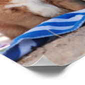 ビーチ上の子犬のバケツ ポスター (角)