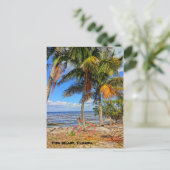 ビーチ上の自転車 – Pine Island Florida ポストカード (スタンド正面)