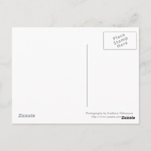 ビーチ休暇はがき ポストカード (裏面)