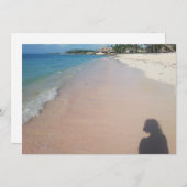 ビーチ休暇 シーズンカード (正面/裏面)