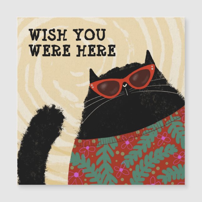 ビーチ体 (正面)