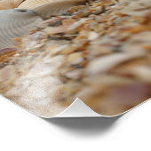 ビーチ写真の貝殻の想像力豊かな画像 フォトプリント            (角)