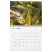 ビーチ写真 カレンダー (3月 2026)