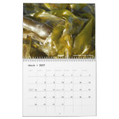 ビーチ写真 カレンダー (3月 2027)