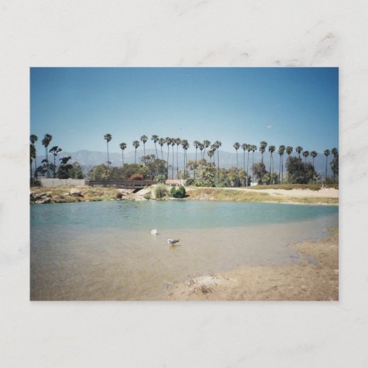 ビーチ前線 ポストカード (正面)