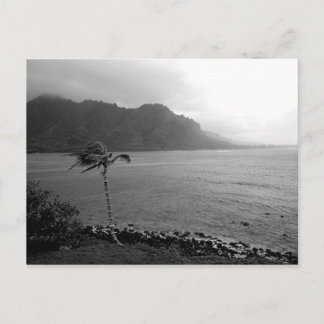 「ビーチ前」はがき ポストカード