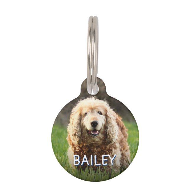 ビーチ動揺してモノグラム名アドレスペット用名札 ペット　ネームタグ (正面)