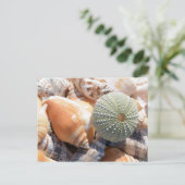 ビーチ土産 ポストカード (スタンド正面)