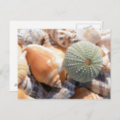 ビーチ土産 ポストカード (正面/裏面)