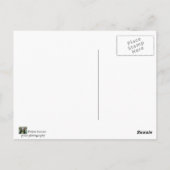 ビーチ基本 ポストカード (裏面)