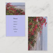 ビーチ場面 名刺 (正面/裏面)