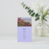 ビーチ場面 名刺 (スタンド正面)