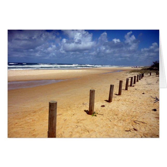 ビーチ場 (正面横)