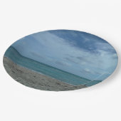 ビーチ場 ペーパープレート (アングル)