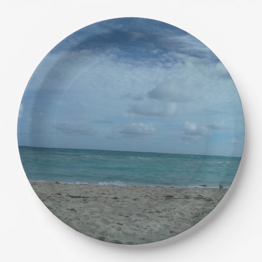 ビーチ場 ペーパープレート (正面)
