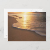 ビーチ場 ポストカード (正面/裏面)