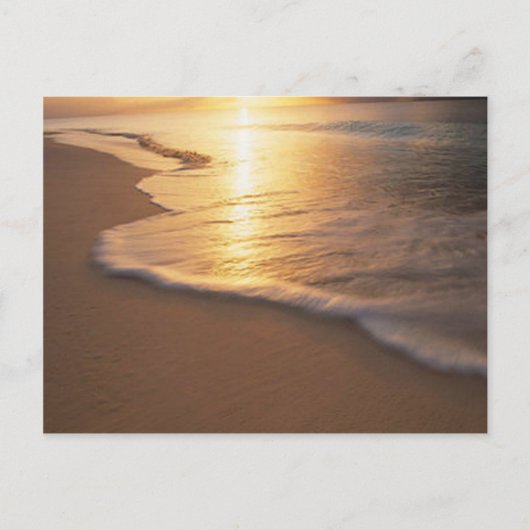 ビーチ場 ポストカード (正面)