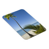 ビーチ大陸アイツタキ調理師諸島 マグネット (右側)