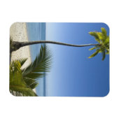 ビーチ大陸アイツタキ調理師諸島 マグネット (横)