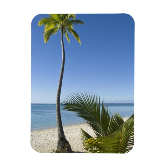 ビーチ大陸アイツタキ調理師諸島 マグネット (縦)