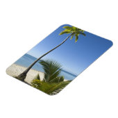 ビーチ大陸アイツタキ調理師諸島 マグネット (左側)