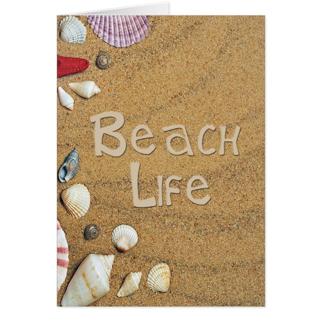 ビーチ寿命 (正面)