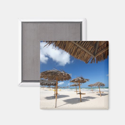 ビーチ小屋 |ブラジル マグネット (正面/裏面)