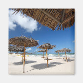 ビーチ小屋 |ブラジル マグネット (正面)