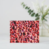 ビーチ小石 ポストカード (スタンド正面)