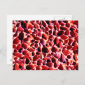 ビーチ小石 ポストカード (正面/裏面)