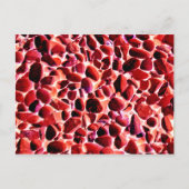 ビーチ小石 ポストカード (正面)