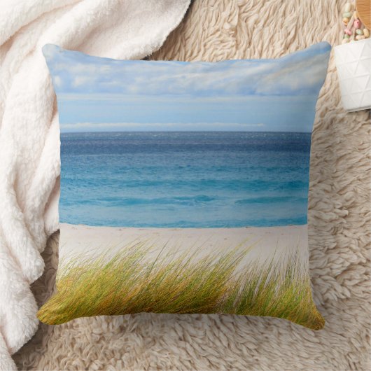 ビーチ層 クッション (ブランケット)