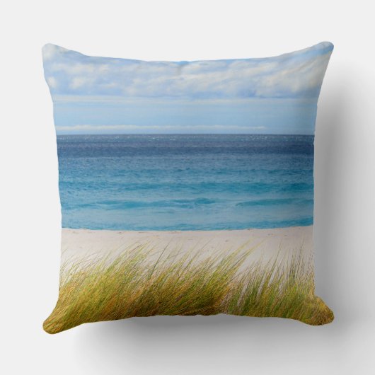 ビーチ層 クッション (裏面)