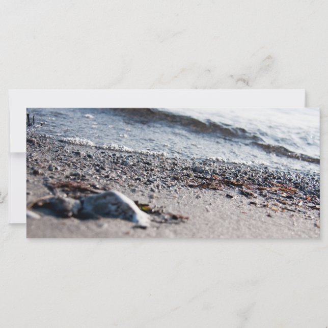 ビーチ接写 (正面)