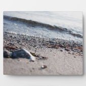 ビーチ接写 フォトプラーク (正面)