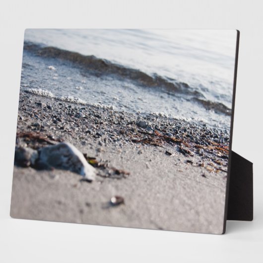 ビーチ接写 フォトプラーク (側面)