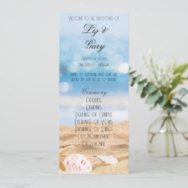 ビーチ撮影先プログラム プログラム