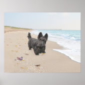 ビーチ日 ポスター (正面)