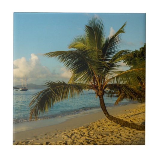 ビーチ景勝 タイル (正面)