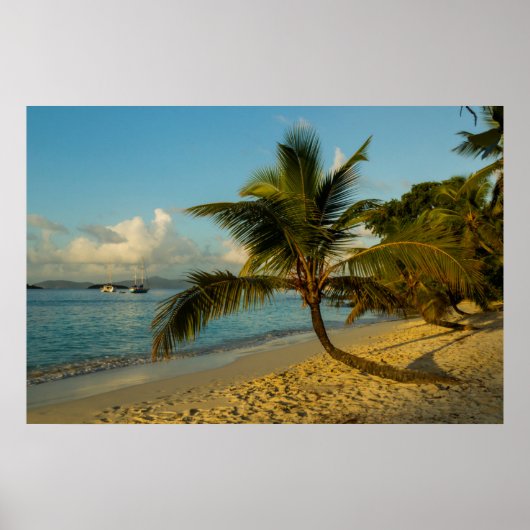 ビーチ景観 ポスター (正面)