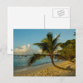 ビーチ景観 ポストカード (正面/裏面)