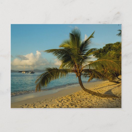 ビーチ景観 ポストカード (正面)