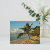 ビーチ景観 ポストカード (スタンド正面)