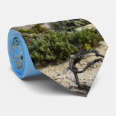 ビーチ期待、首タイ ネクタイ (ロール)