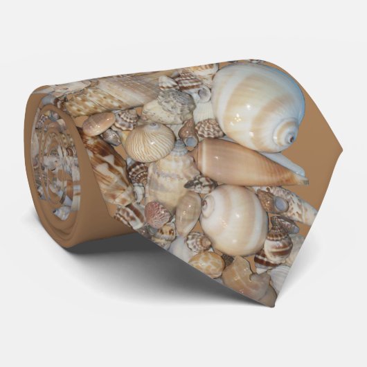 ビーチ殻 ネクタイ (ロール)