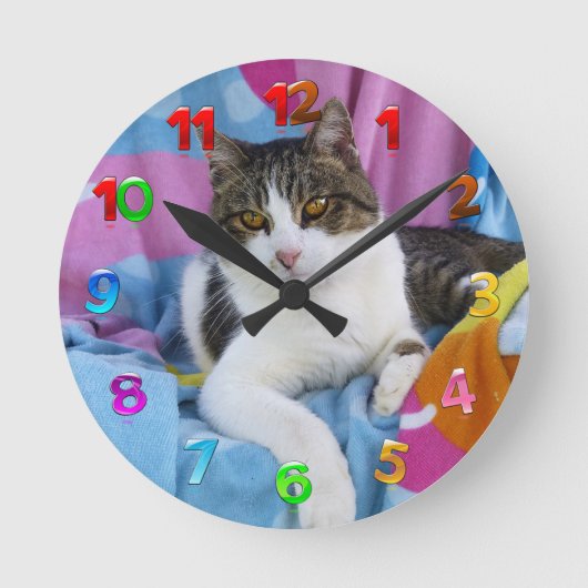 ビーチ毛布かわいこちゃん ラウンド壁時計 (正面)